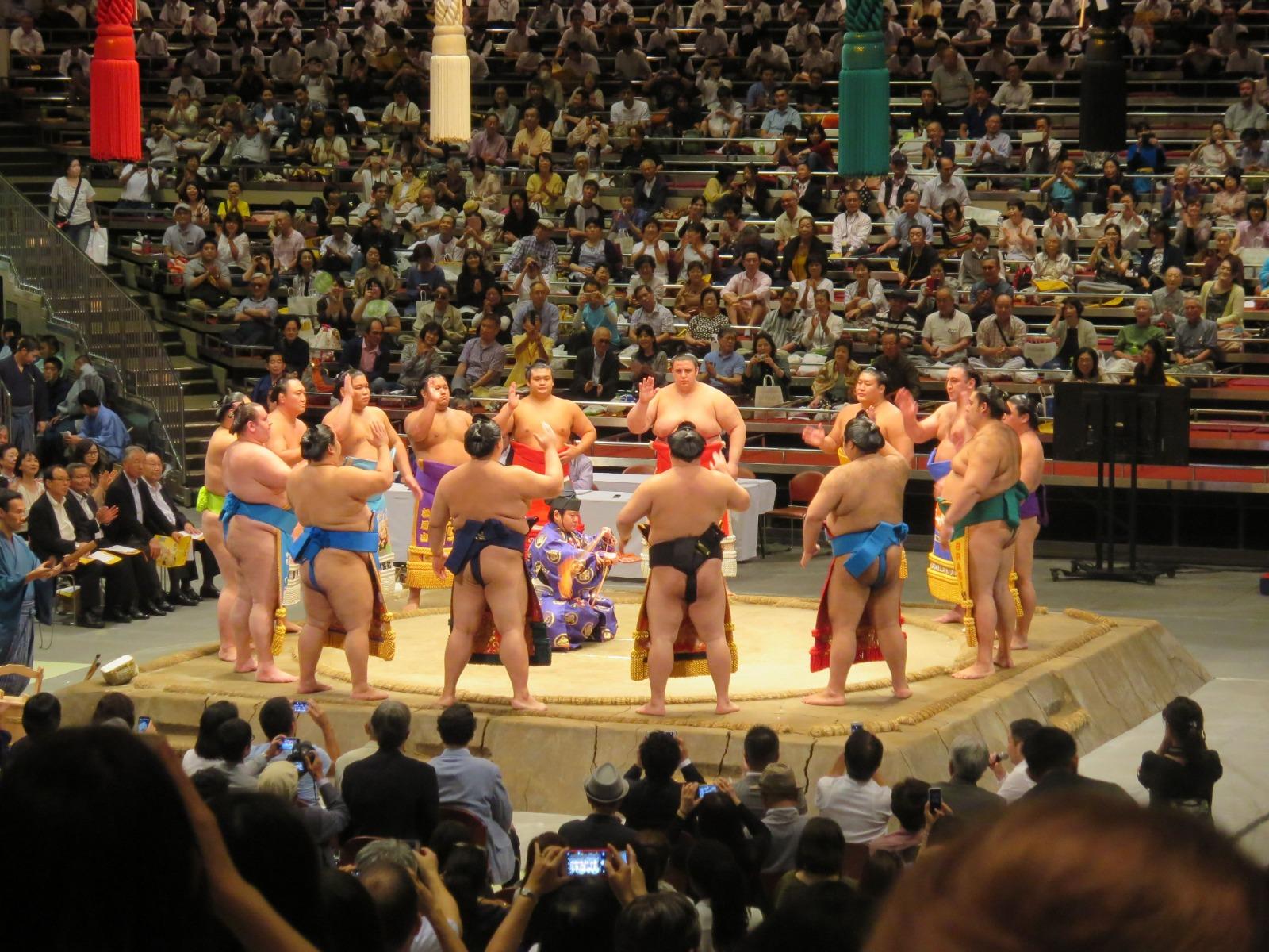 Sumo Güreşi (Opsiyonel)